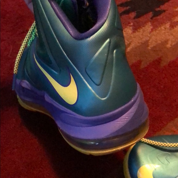 Lebron - Picture 4 of 4